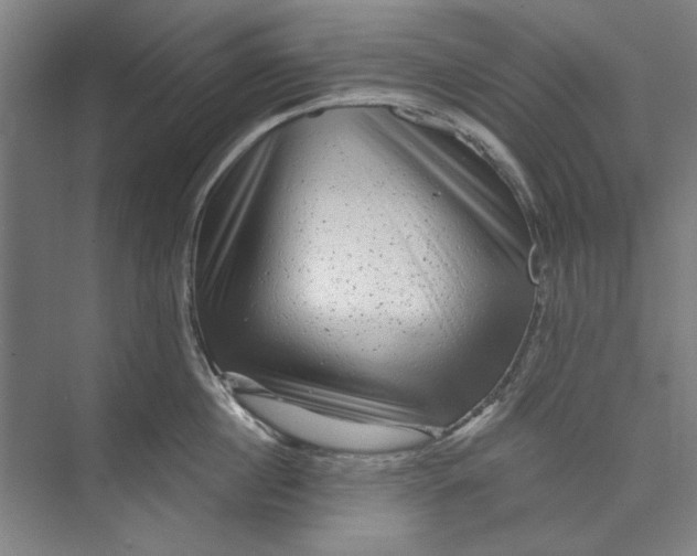 X0000072920860200608041148