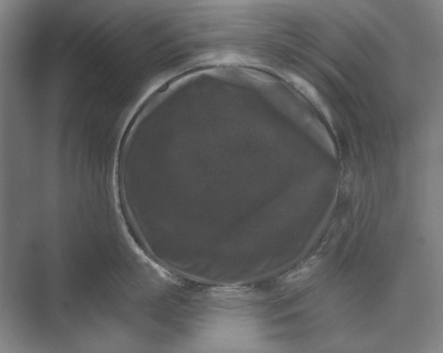 X0000072920863200608041148