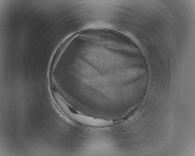 X0000072920864200608041148