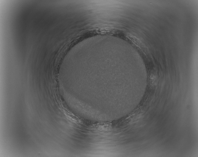 X0000072920865200608041147