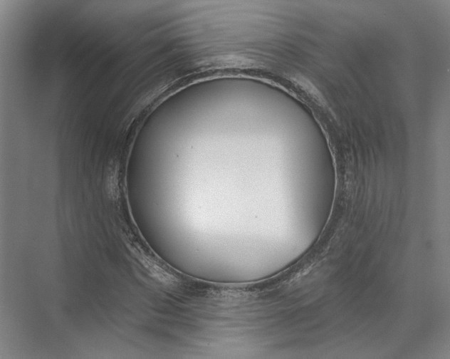 X0000072920873200608041147