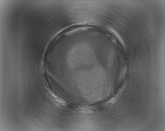 X0000072920876200608041147