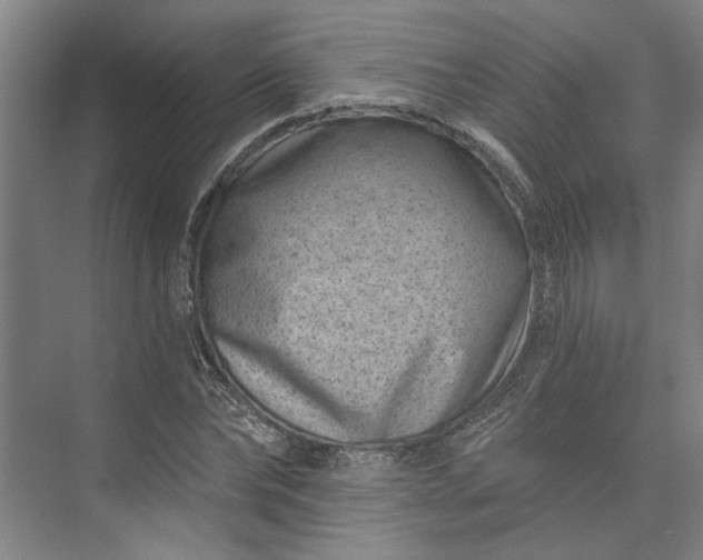 X0000072920878200608041147