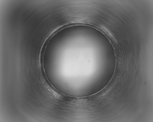 X0000072920884200608041147
