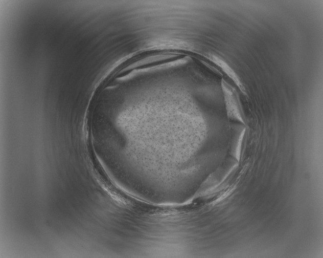 X0000072920885200608041147