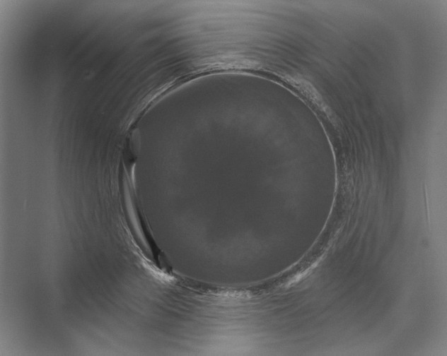 X0000072920889200608041147