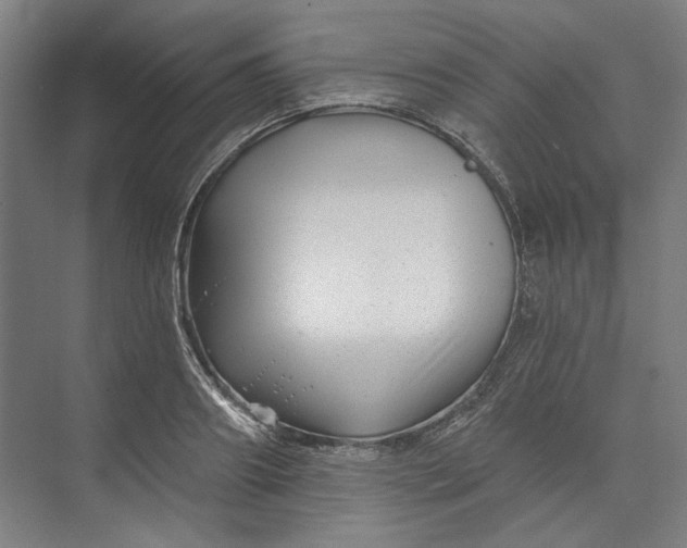 X0000072920890200608041147
