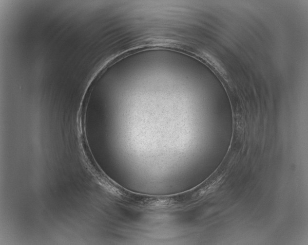 X0000072920891200608041147