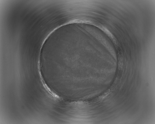 X0000072920896200608041147