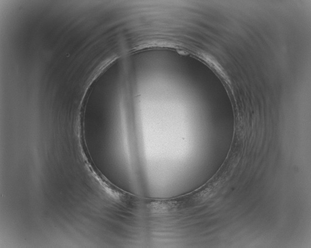 X0000072920898200608041147
