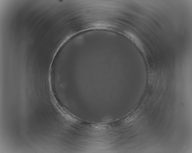 X0000072920899200608041147