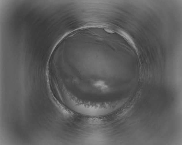 X0000072920907200608041147