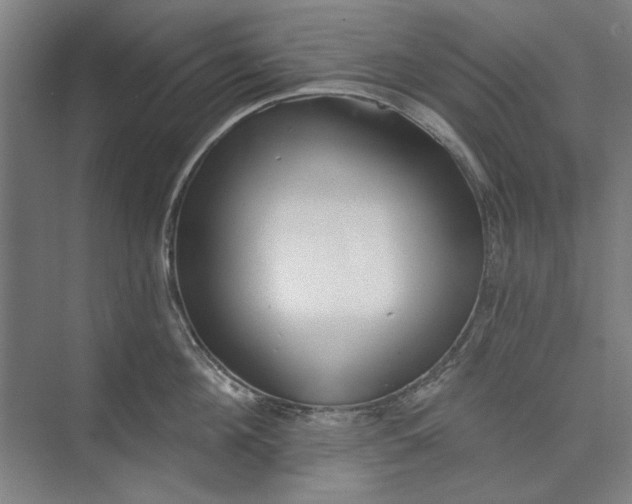X0000072920908200608041147