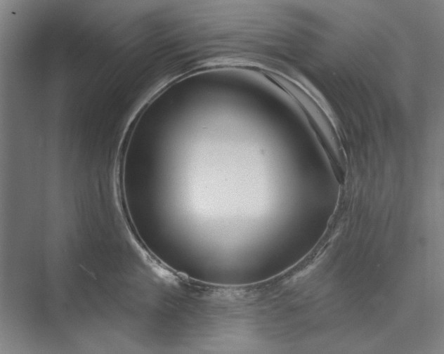 X0000072920909200608041147