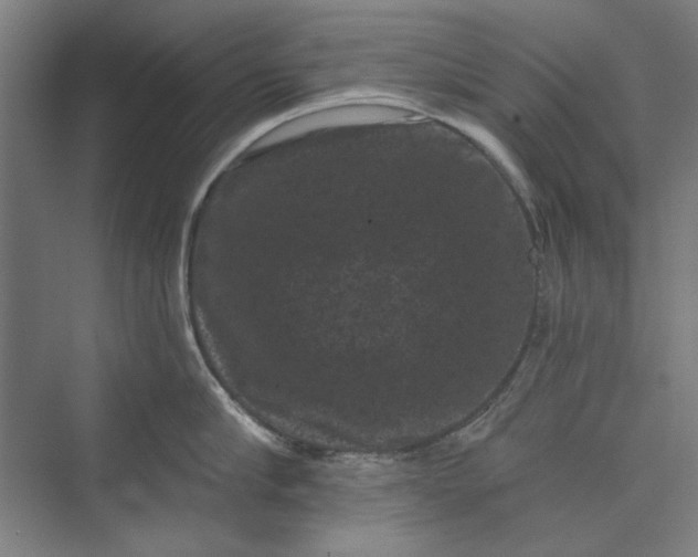 X0000072920910200608041147