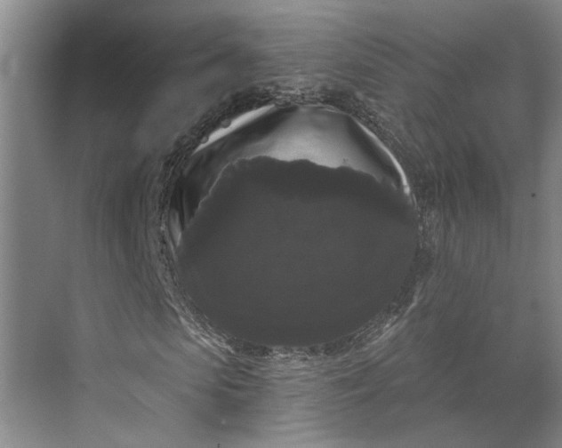 X0000072920913200608041146