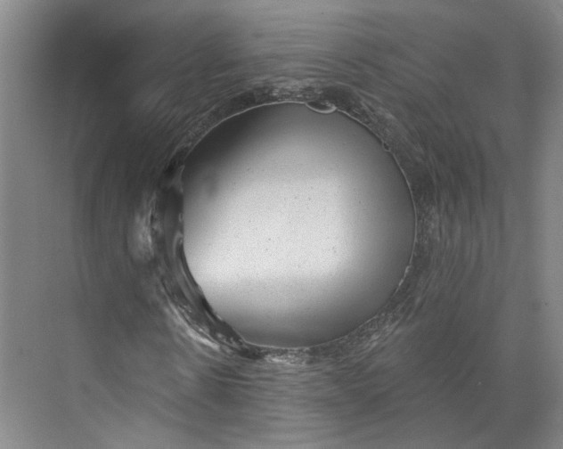 X0000072920914200608041146