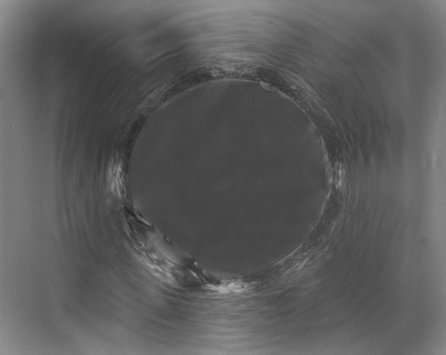 X0000072920915200608041146