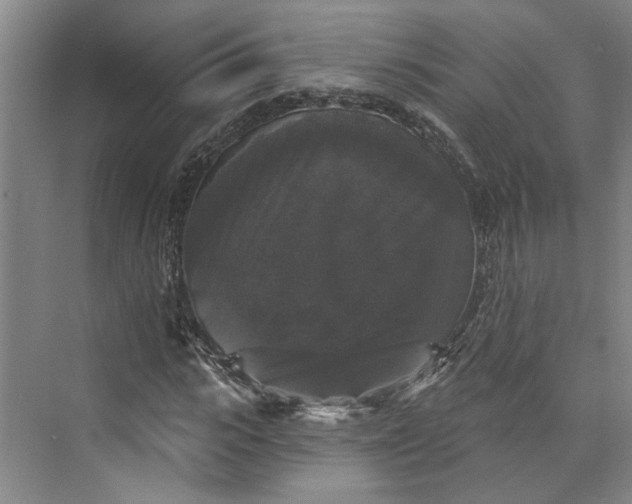 X0000072920919200608041146