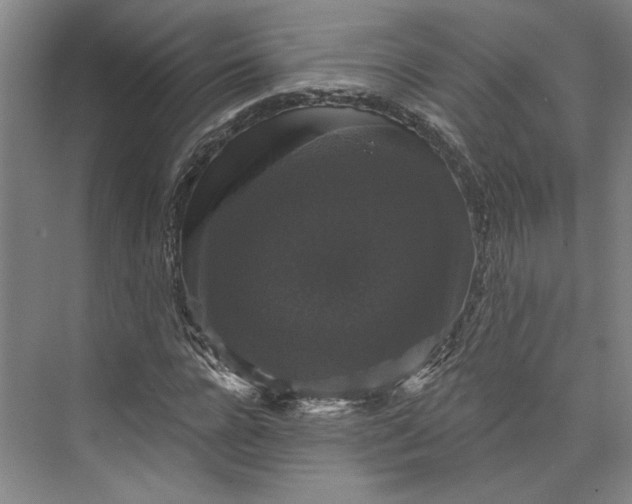 X0000072920920200608041146