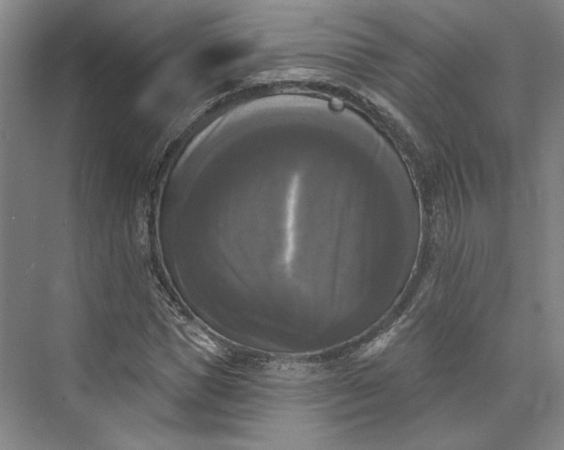X0000072920921200608041146