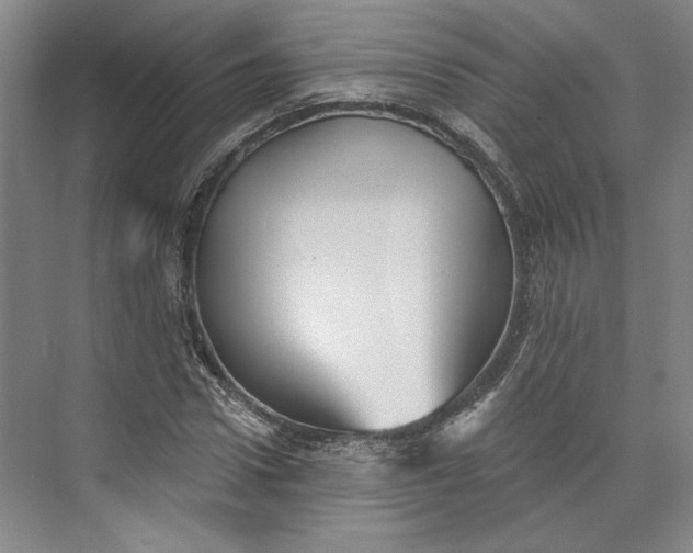 X0000072920922200608041146