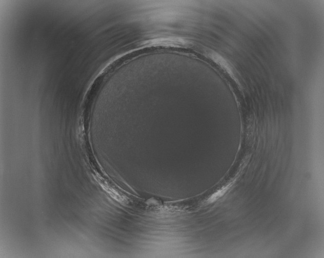 X0000072920923200608041146