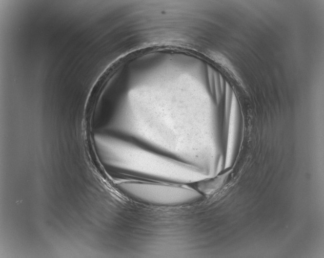 X0000072920924200608041146