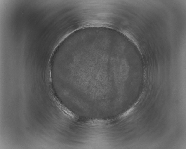 X0000072920925200608041146