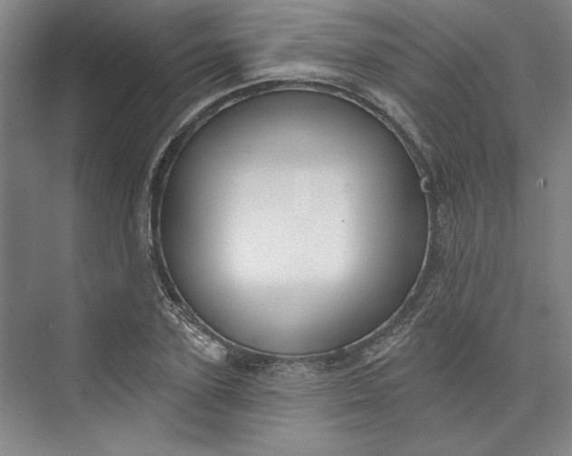 X0000072920931200608041146