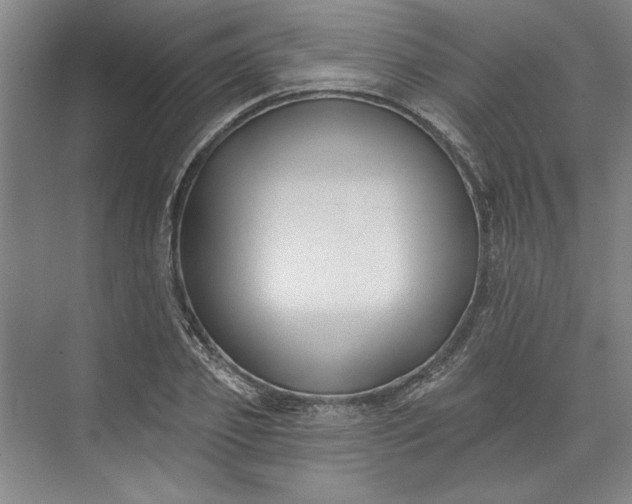 X0000072920933200608041146