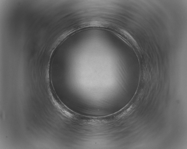 X0000072920938200608041146