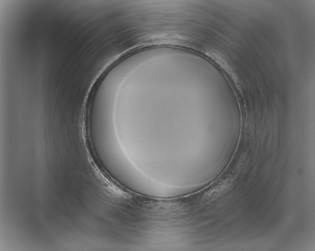 X0000072920941200608041146