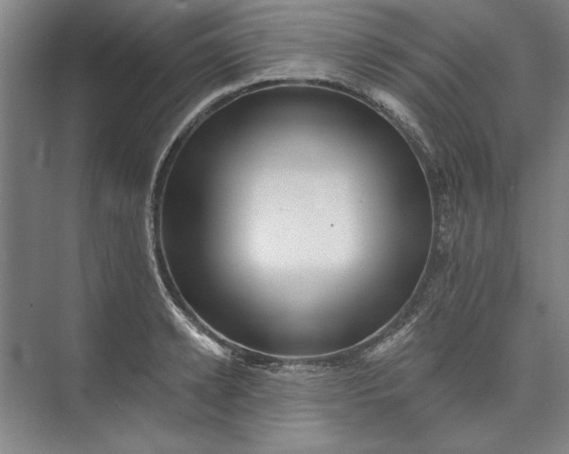X0000072920942200608041146