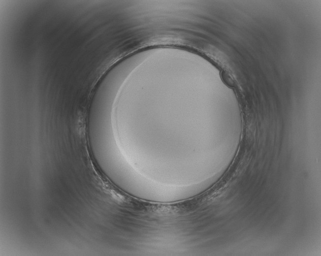 X0000072920945200608041146