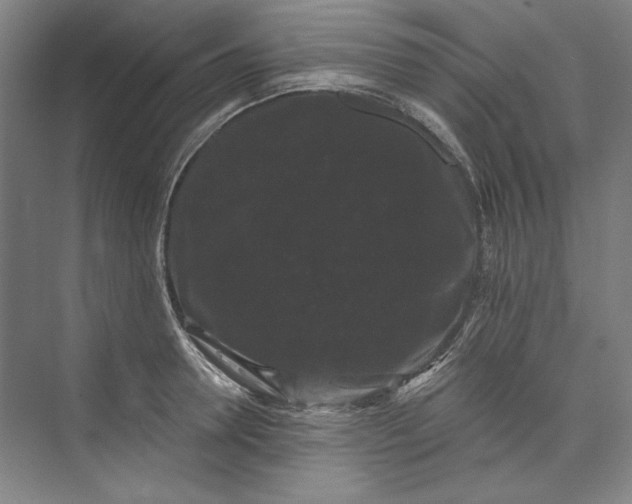 X0000072920946200608041146