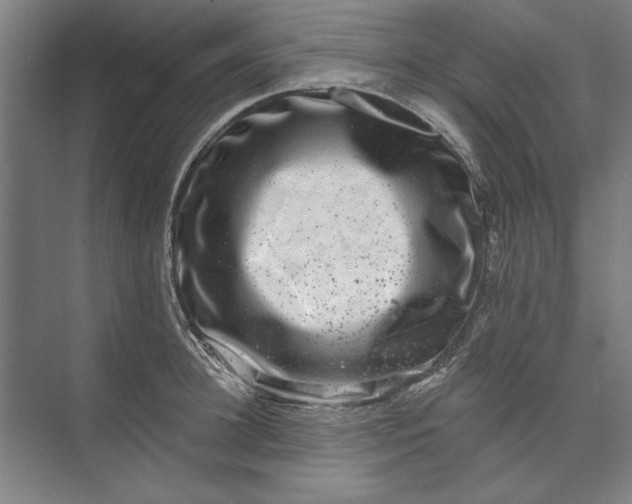 X0000072920948200608041146