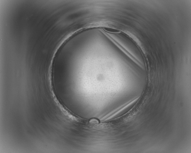 X0000072920949200608041146