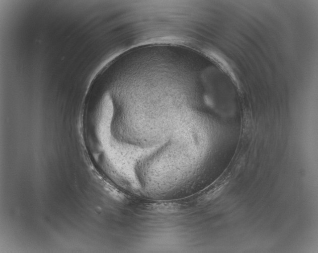 X0000072920952200608041146