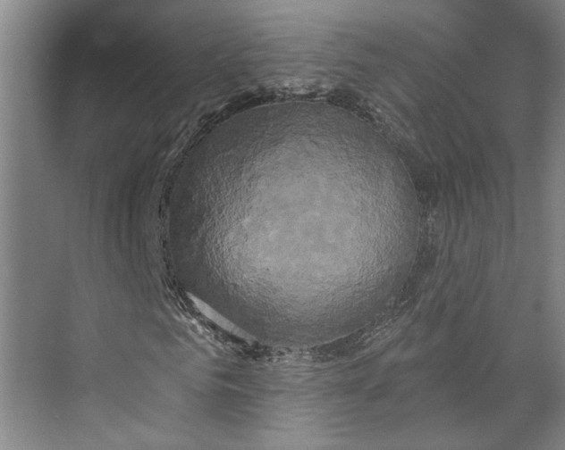 X0000072920961200608041146