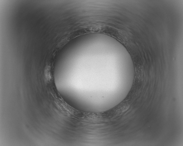 X0000072920962200608041146