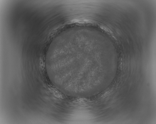 X0000072920966200608041146