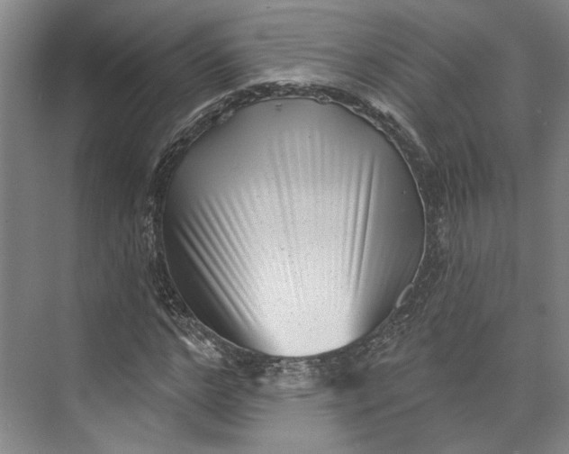 X0000072920968200608041146