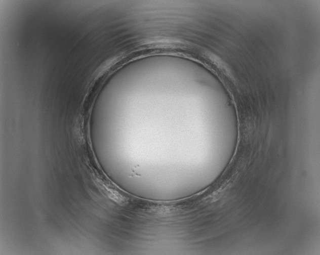 X0000072920970200608041146
