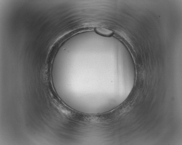 X0000072920971200608041146