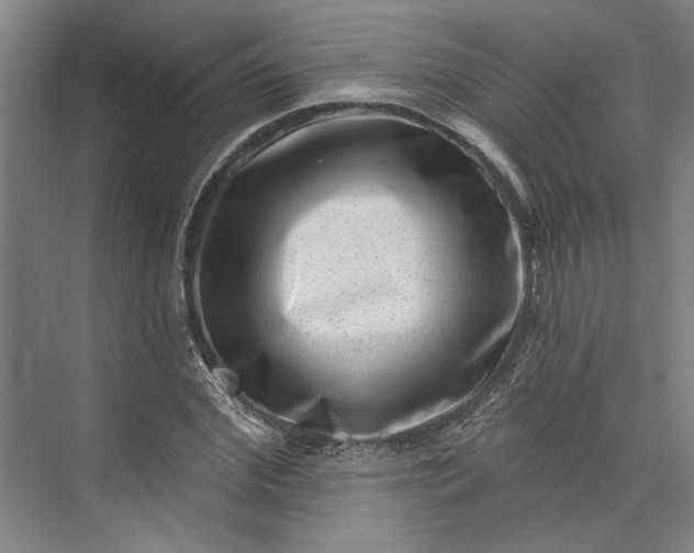 X0000072920972200608041146