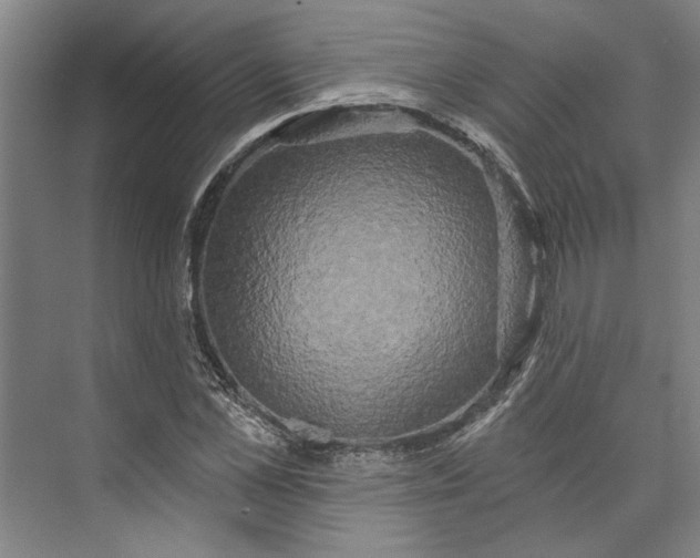 X0000072920973200608041146