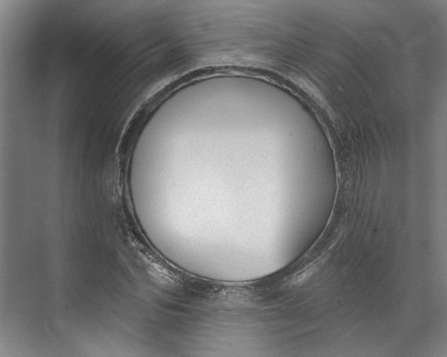 X0000072920974200608041146