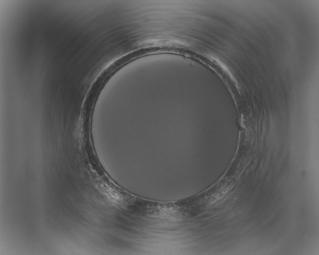 X0000072920975200608041146