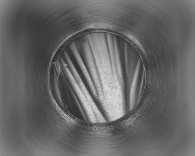 X0000072920976200608041146